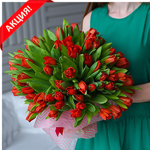 Купить Букет 101 красный тюльпан