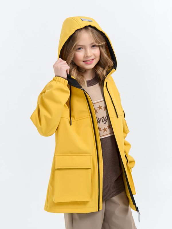 Куртка Softshell демисезонная 