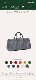 Дорожная сумка Goyard