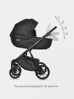 Коляска  MONTANA ECCO (2 в 1) (RIKO BASIC) 12 Black (черный)