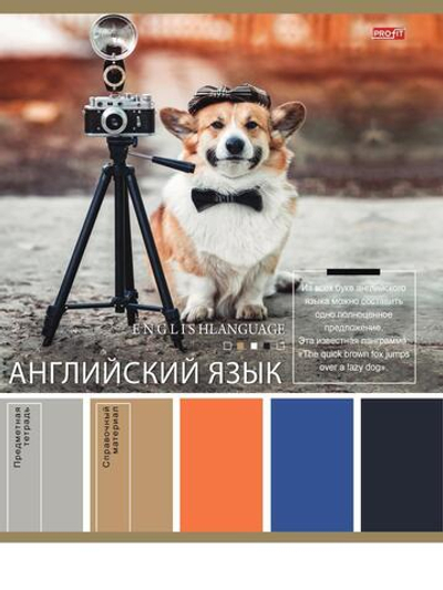 Тетрадь предметная А5 36л. клет. Английский язык «Pantone» эконом (36-9309) (Проф-Пресс)
