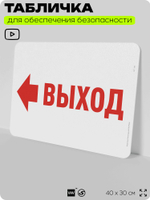 Табличка для обеспечения безопасности "Выход", для офиса, по охране труда для предприятия, организаций, 40х30 см, Silver Plane x Айдентика Технолоджи