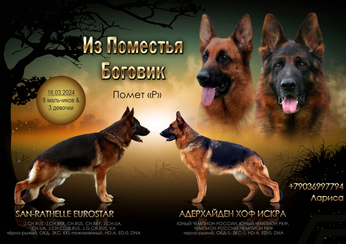 Помет "Р"