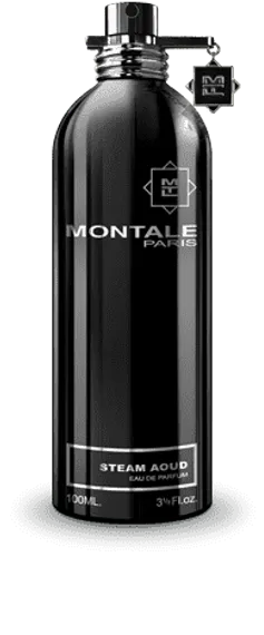 Montale Steam Aoud