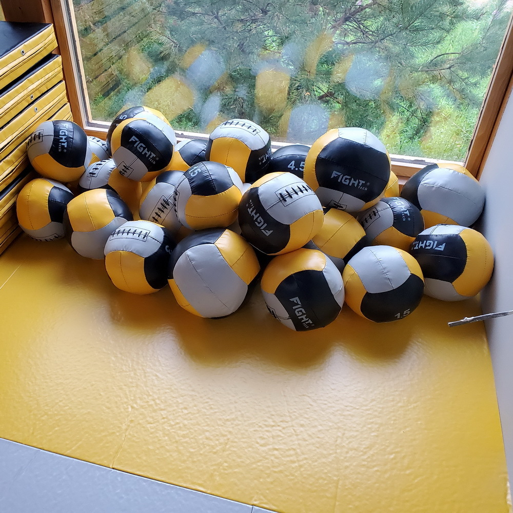 Набивной мяч PVS