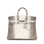 Сумка из коллекции Y с палладиевой фурнитурой Hermès Birkin