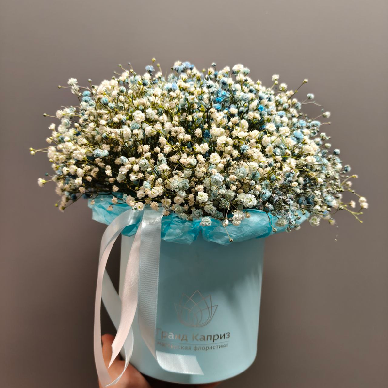 Композиция из цветной гипсофилы "Облачко"