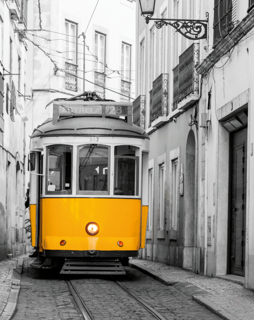 Интерьерная картина в технике цифровой печати 30*40