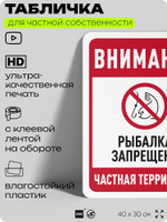 Табличка для частной территории "Внимание, рыбалка запрещена", на дом, для участка, организаций и частных территорий, предупреждающая, 40х30 см, Silver Plane x Айдентика Технолоджи