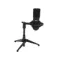 Ritmix RDM-160 Black