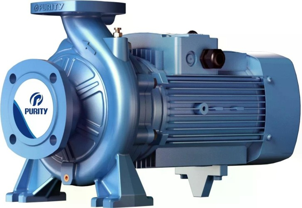 Моноблочный насос PURITY PSTG 100-250/550 100601429