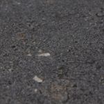 Керамогранит Primavera Nemo Dark grey 60*120 (NR214)