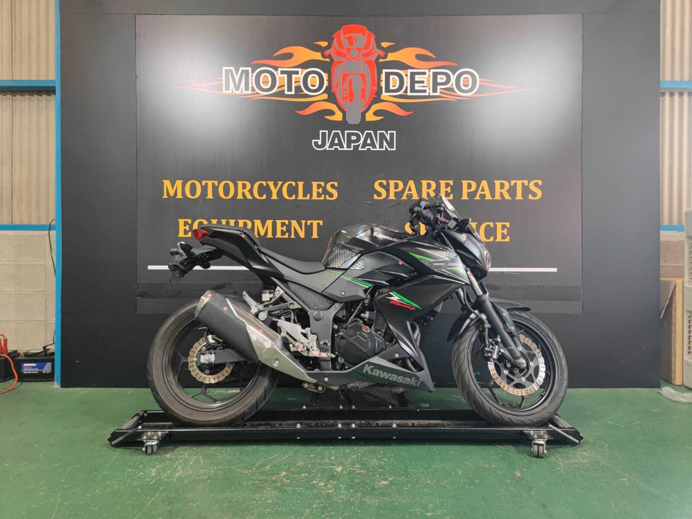Kawasaki Z250 2013