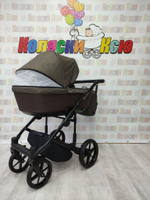 Коляска модульная Adamex Amelia AM244