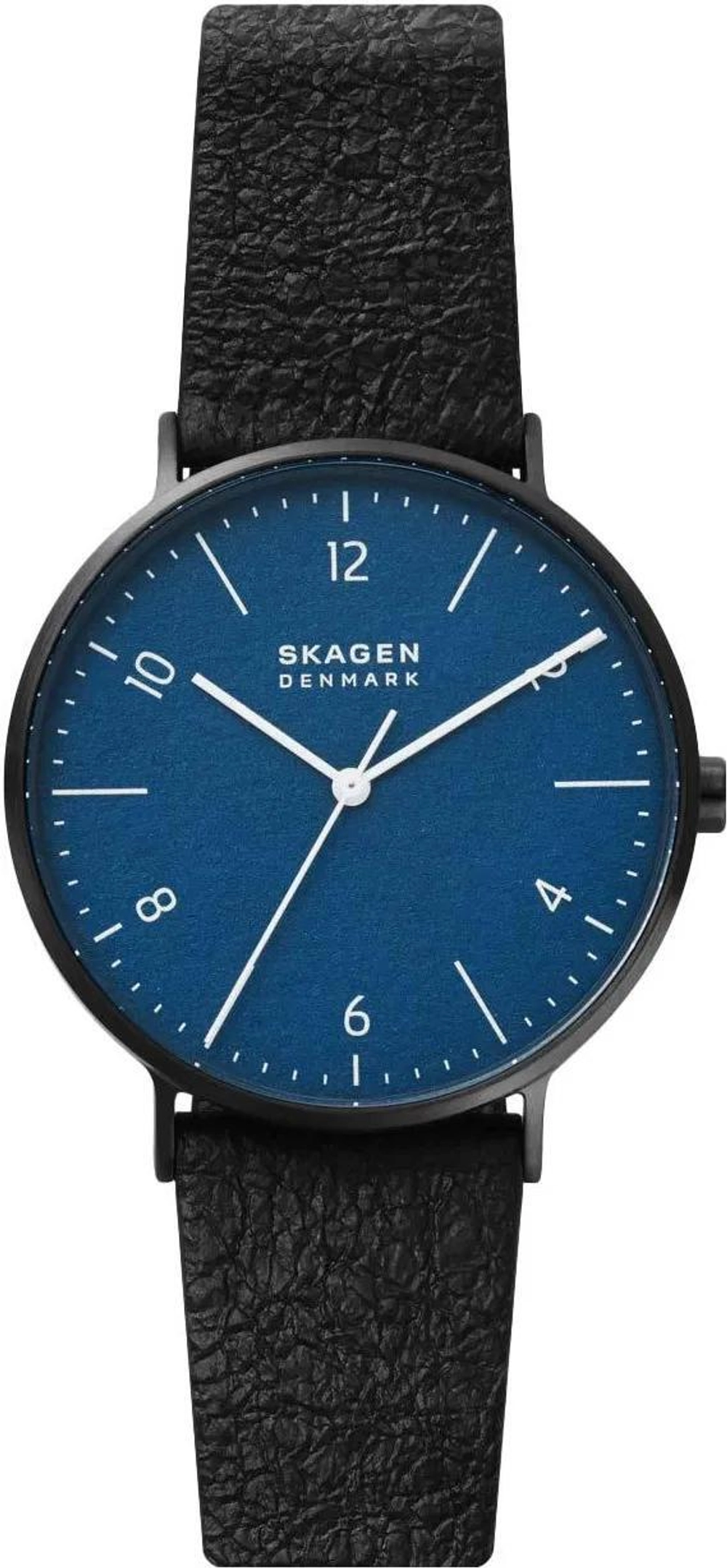 Мужские наручные часы Skagen SKW6727