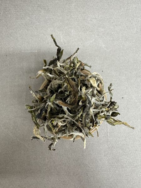 Шен со старых лесных деревьев