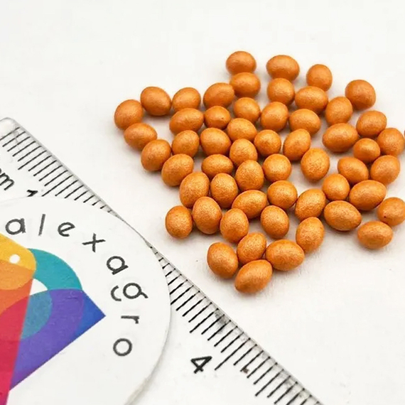 Элсол семена салата айсберг (Nunhems / ALEXAGRO) семена – фото 7