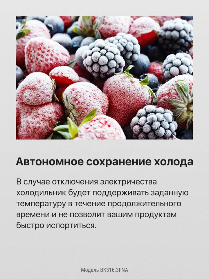 Встраиваемый холодильник Hansa BK316.3FNA