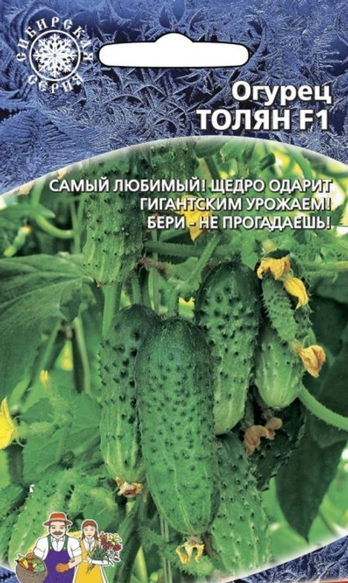 Огурец Толян 10 штук