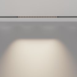 Трековый светильник светодиодный Maytoni Exility   TR031-2-24W4K-B