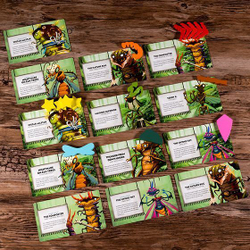 Kabuto Sumo: Insect All-stars Expansion