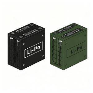 Аккумуляторы Li-Po 22,2В