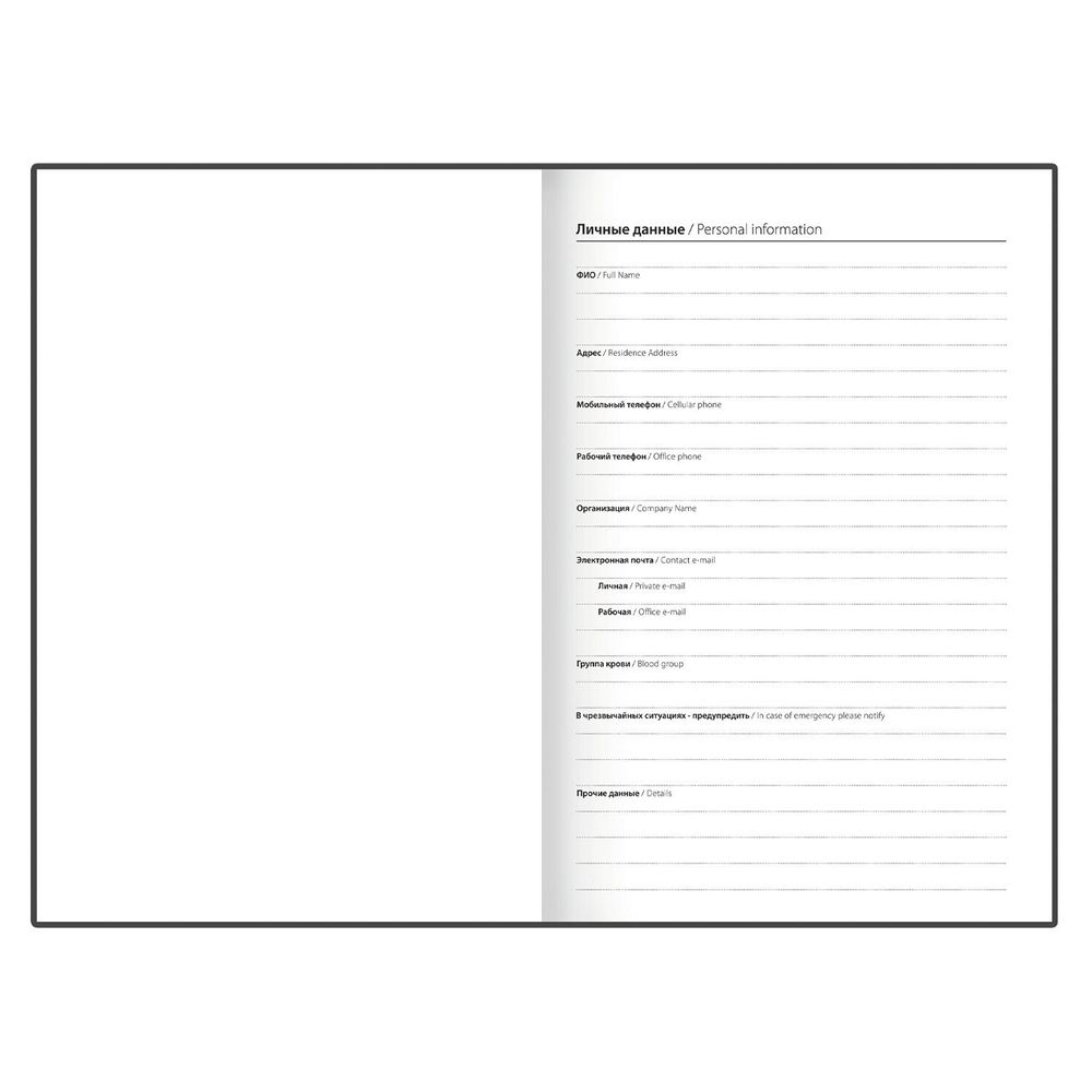 Ежедневник датированный 2026 145х215 мм А5 STAFF ламинированная обложка "Живопись" (117329)