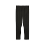 Мужские брюки PUMA EVOSTRIPE Pants