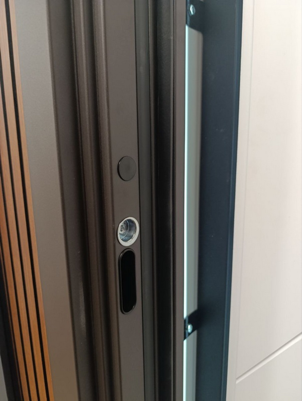 Стальная дверь "Премиум". Заказная модель.