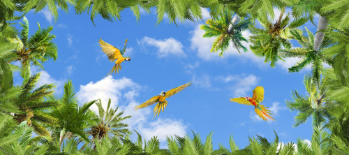 Небо №14 Фотообои и Фрески ручной работы