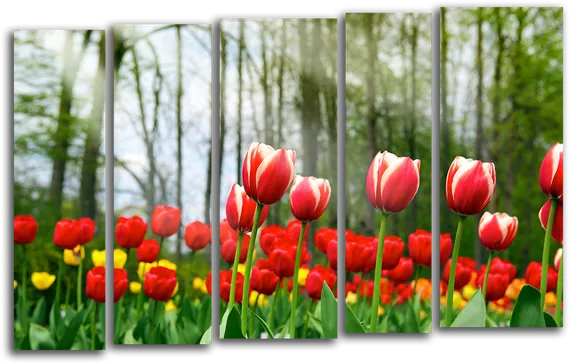 Модульная картина "Тюльпаны"