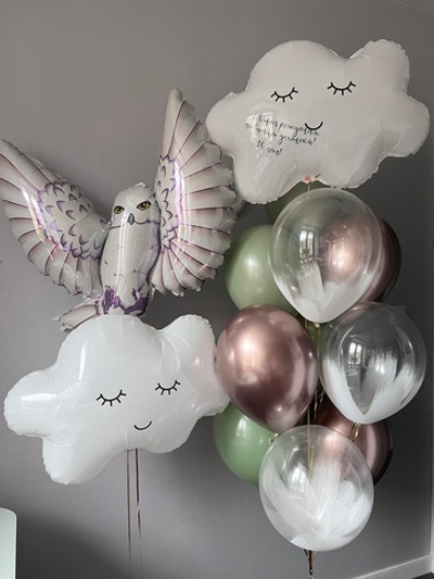 Набор шаров Сова