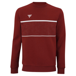 Детская теннисная толстовка Tecnifibre Team Sweater Junior - cardinal
