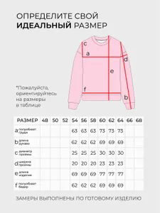 Толстовка 6233 Fabrika