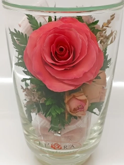 натуральные цветы в стекле, вакуум