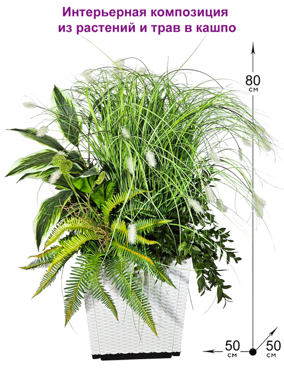 Интерьерная композиция из растений и трав в кашпо