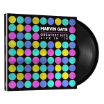 Marvin Gaye / Greatest Hits Live In '76 (LP)