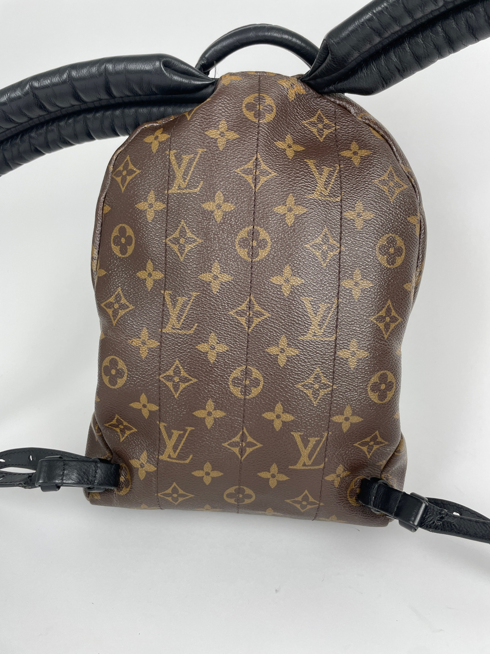 Рюкзак Louis Vuitton Monogram Canvas Palm Springs