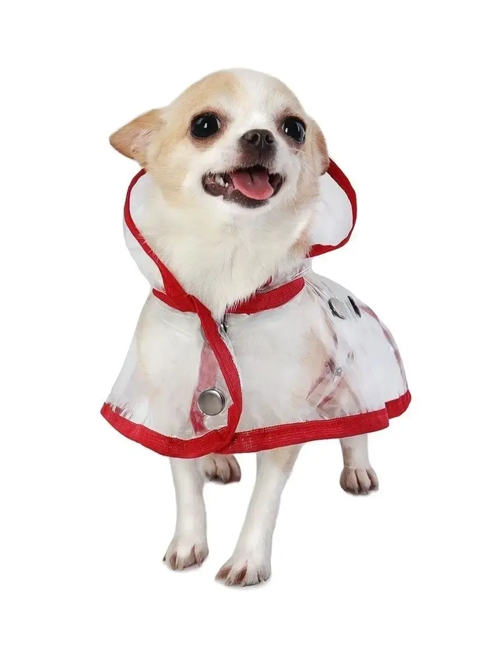 Дождевик для собак мелких средних пород