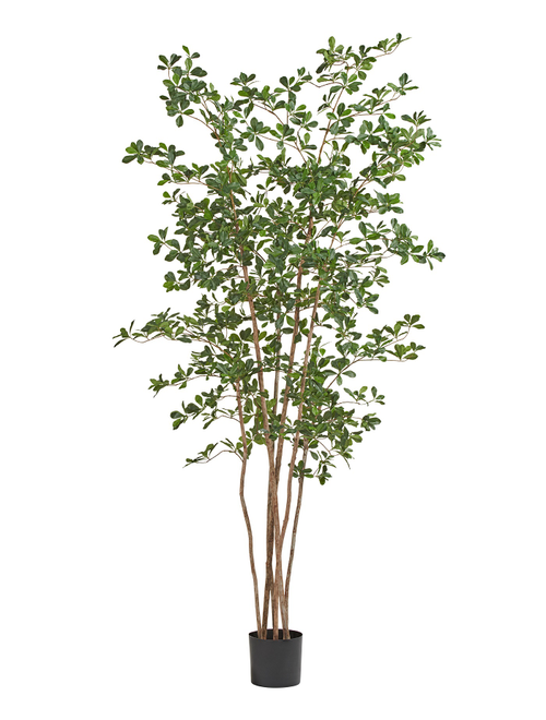 Дерево лесное мелколистное 210 см