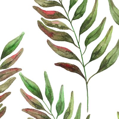 тропические ветки