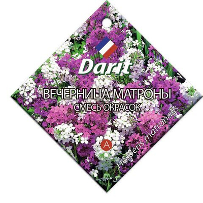 Вечерница Матроны смесь окрасок, семена Дарит 0,7г