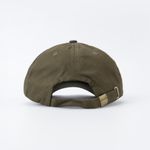 Кепка Anteater 6Panel (olive)