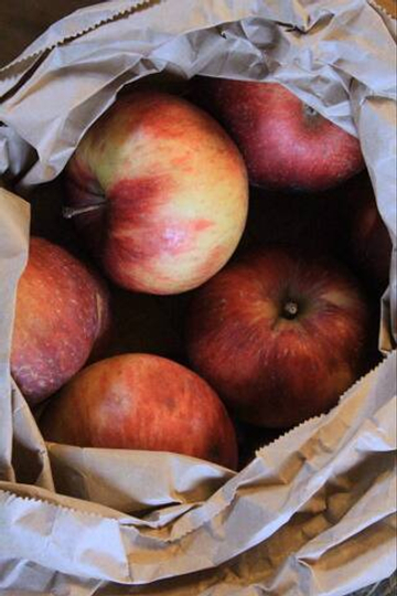 Яблоки сезонные