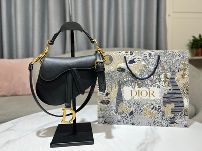 Christian Dior Saddle 21 cm