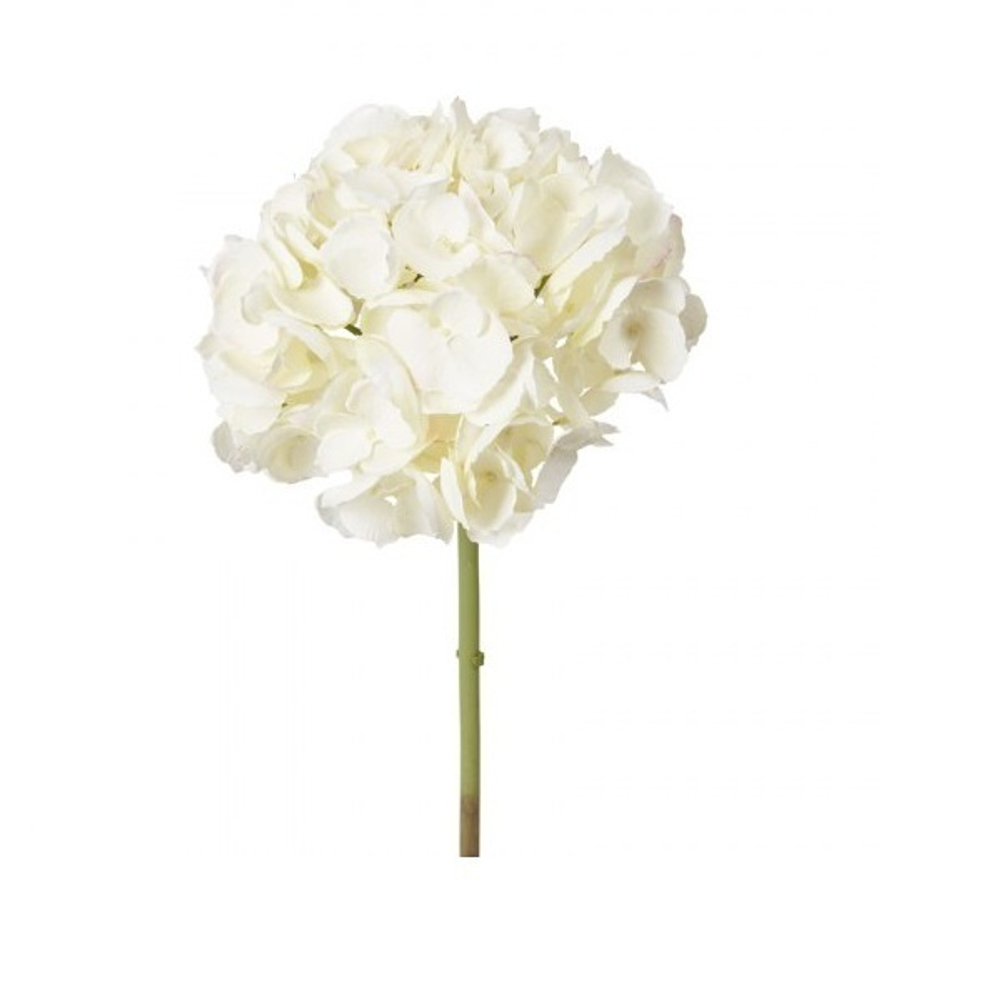 Гортензия белая [Арт. 97340010]