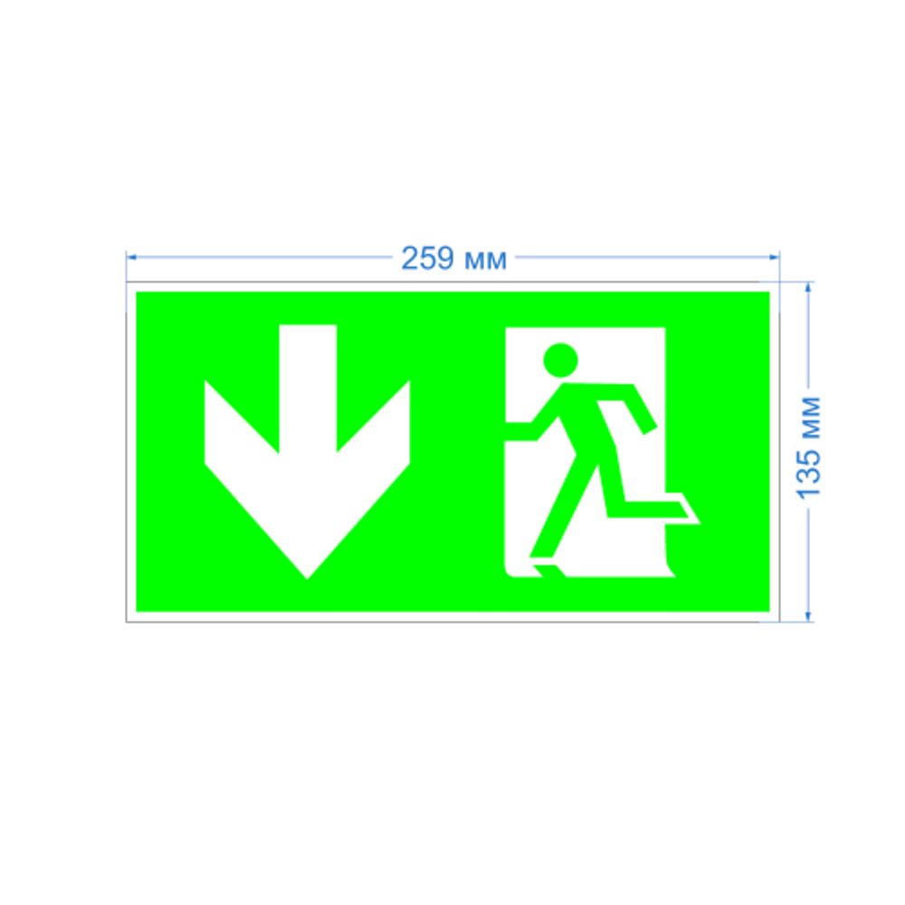 Пиктограмма ЭРА INFO-SSA-118 бэклит 259x128мм Человек-стрелка-вниз зеленая SSA-103