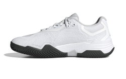 Мужские кроссовки теннисные Adidas Solematch Control 2 M - белый