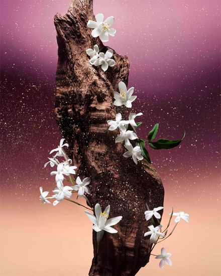 Louis Vuitton Parfum Fleur du Desert