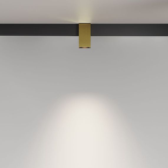 Трековый светодиодный светильник Maytoni Technical Magnetic Exility Alfa TR121-2-7W4K-BS